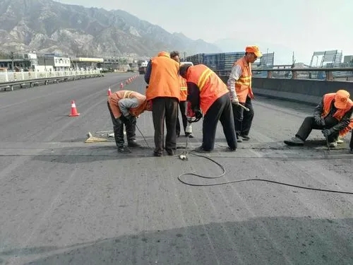 广东道路桥梁病害治理